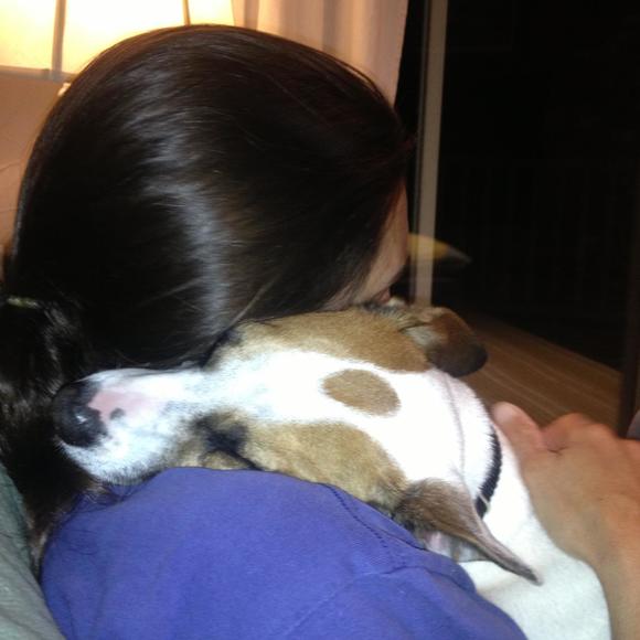 ilovegusbruno